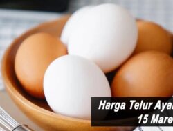 Harga Telur Ayam Ras Hari Ini Selasa 15 Maret 2022: Harga di Blitar Stabil di Rp 20.500