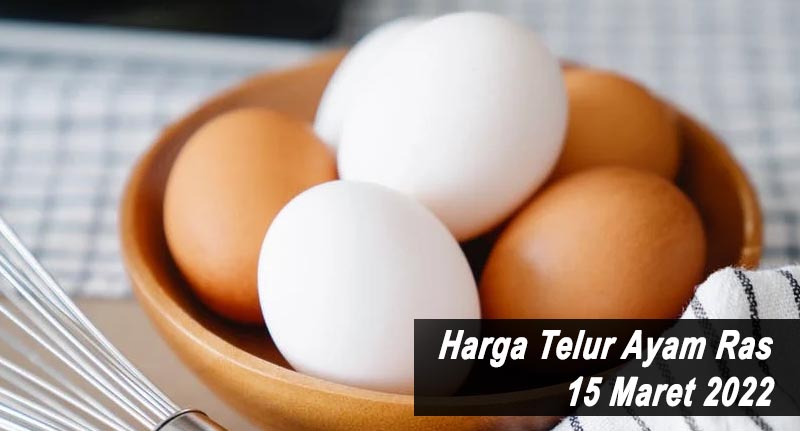 Harga Telur Ayam Ras 15 Maret 2022