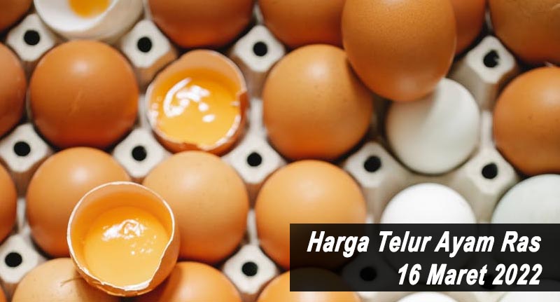 Harga Telur Ayam Ras 16 Maret 2022