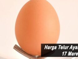 Harga Telur Ayam Ras Hari Ini Kamis 17 Maret 2022: Harga di Blitar Stabil di Rp 20.000