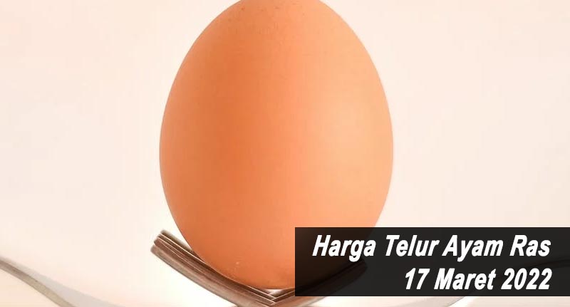 Harga Telur Ayam Ras 17 Maret 2022