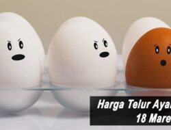 Harga Telur Ayam Ras Hari Ini Jumat 18 Maret 2022: Harga di Blitar Kembali Turun Hingga Rp 1.000