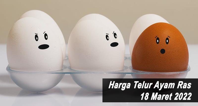 Harga Telur Ayam Ras 18 Maret 2022