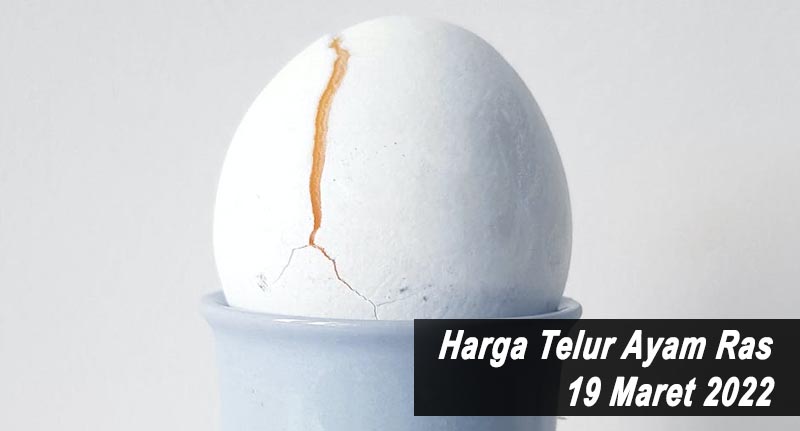 Harga Telur Ayam Ras 19 Maret 2022