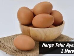 Harga Telur Ayam Ras Hari Ini Rabu 2 Maret 2022: Harga di Solo Naik Rp 300