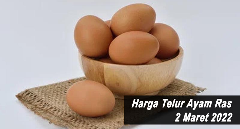 Harga Telur Ayam Ras 2 Maret 2022