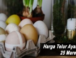 Harga Telur Ayam Ras Hari Ini Jumat 25 Maret 2022: Harga di Blitar Naik Rp 500