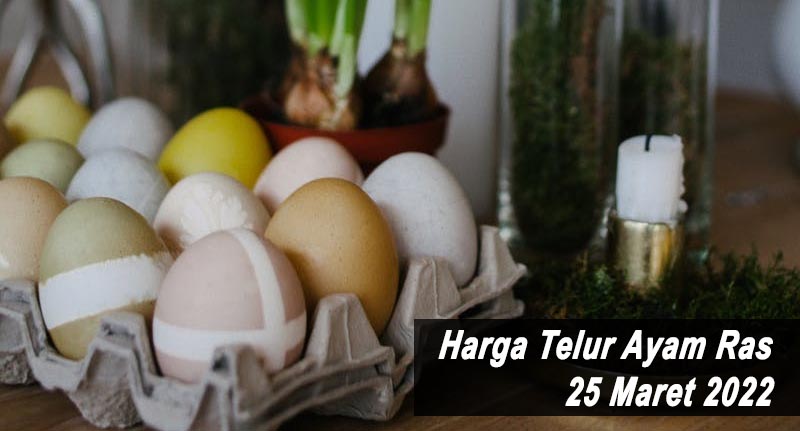 Harga Telur Ayam Ras 25 Maret 2022