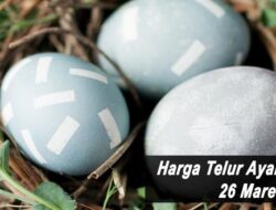 Harga Telur Ayam Ras Hari Ini Sabtu 26 Maret 2022: Harga di Surabaya Naik Rp 200