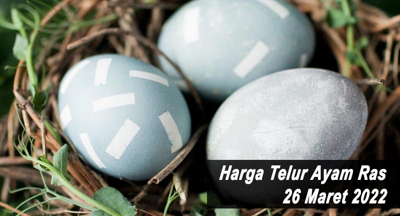 Harga Telur Ayam Ras 26 Maret 2022