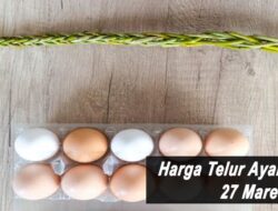 Harga Telur Ayam Ras Hari Ini Minggu 27 Maret 2022: Harga di Kediri Naik Rp 1.000