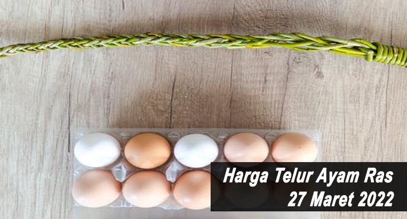 Harga Telur Ayam Ras 27 Maret 2022