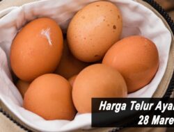 Harga Telur Ayam Ras Hari Ini Senin 28 Maret 2022: Harga di Blitar Kembali Stabil di Rp 22.200