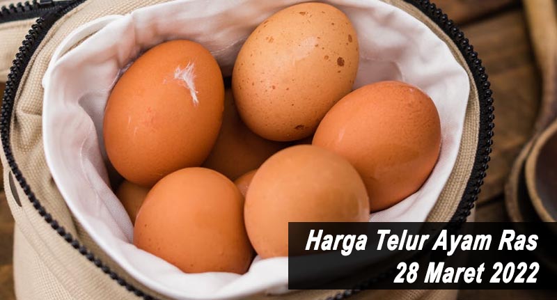 Harga Telur Ayam Ras 28 Maret 2022