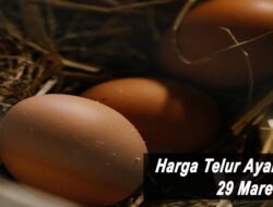 Harga Telur Ayam Ras Hari Ini Selasa 29 Maret 2022: Harga di Tasikmalaya Stabil di Rp 22.500