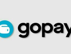 Cara Transfer GoPay ke OVO Mudah Dijamin Berhasil, Cek Disini!