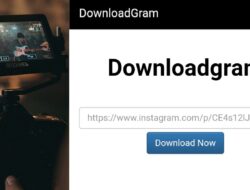 Downloadgram: Download Video Instagram Gratis 2022, Tanpa Install Aplikasi