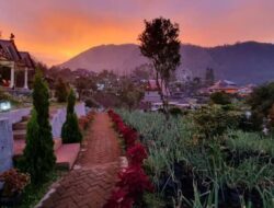 3 Rekomendasi Villa Bromo Murah, Harga Mulai 100 Ribuan! Lengkap dengan Alamatnya