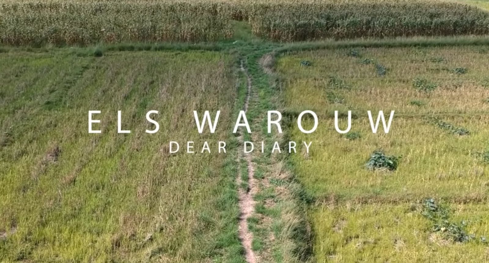 Lagu Dear Diary - Els Warouw
