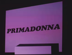 Lirik Lagu Marina And The Diamons – Primadonna, Viral di TikTok Would You Do Anything For Me?