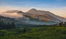 pendaki ilegal, Gunung Gede Pangrango, TNGGP, sanksi pendaki, penutupan pendakian
